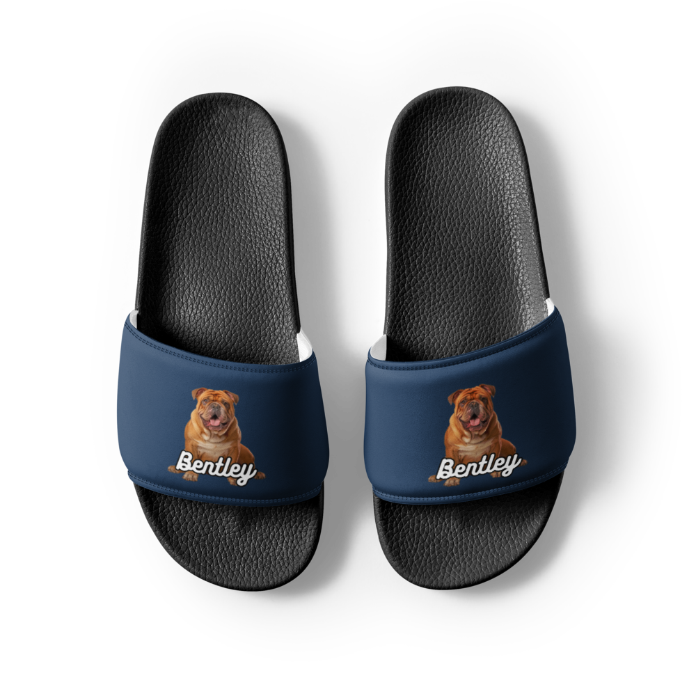 Bentley Paws and Cocoa  Slides