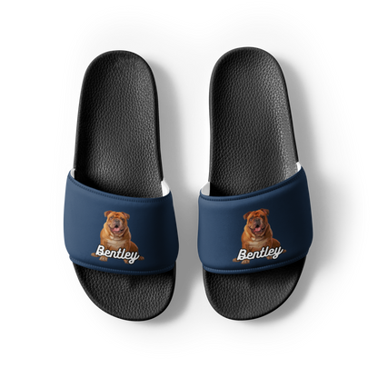 Bentley Paws and Cocoa  Slides