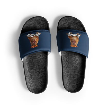 Bentley Paws and Cocoa  Slides