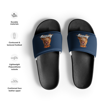 Bentley Paws and Cocoa  Slides