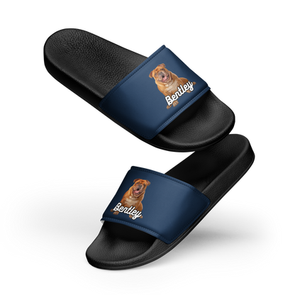 Bentley Paws and Cocoa  Slides