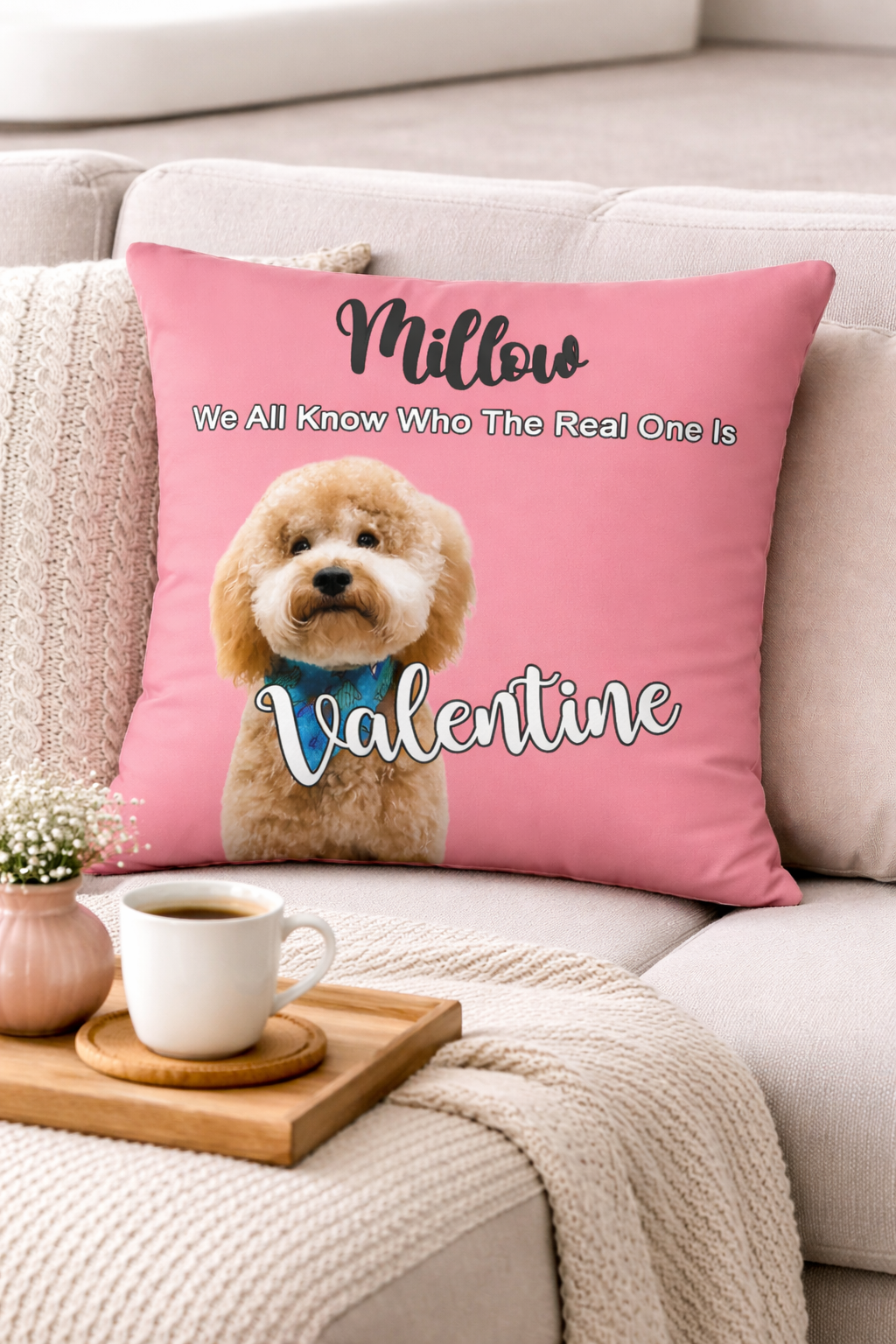 With Love for Willow - Premium Pillow