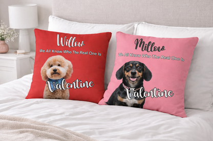 With Love for Willow - Premium Pillow