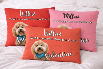 With Love for Willow - Premium Pillow