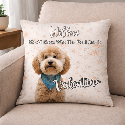 With Love for Willow - Premium Pillow