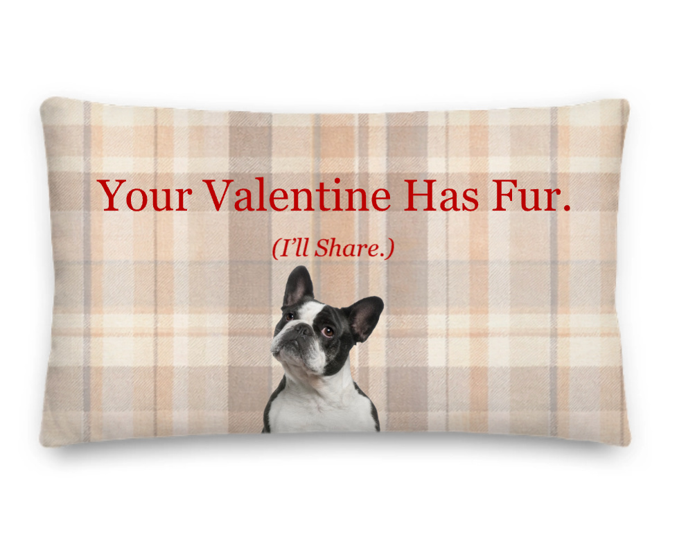 Decorative pillow with a dog photo and humorous text on a plaid background