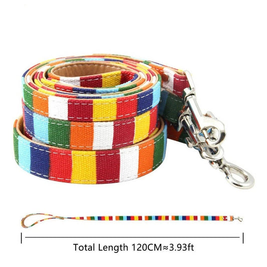 Durable Leather Rainbow Padded Dog Leash