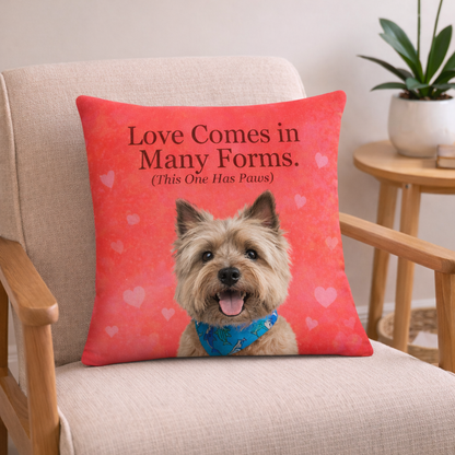 Love Comes in Many Forms. All-Over Print Premium Pillow