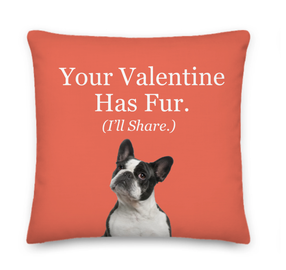 Pillow with a dog illustration and text on a red background