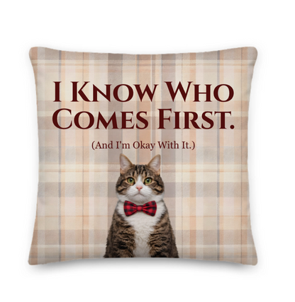 Plaid pillow with a cat wearing a bow tie and humorous text on a white background