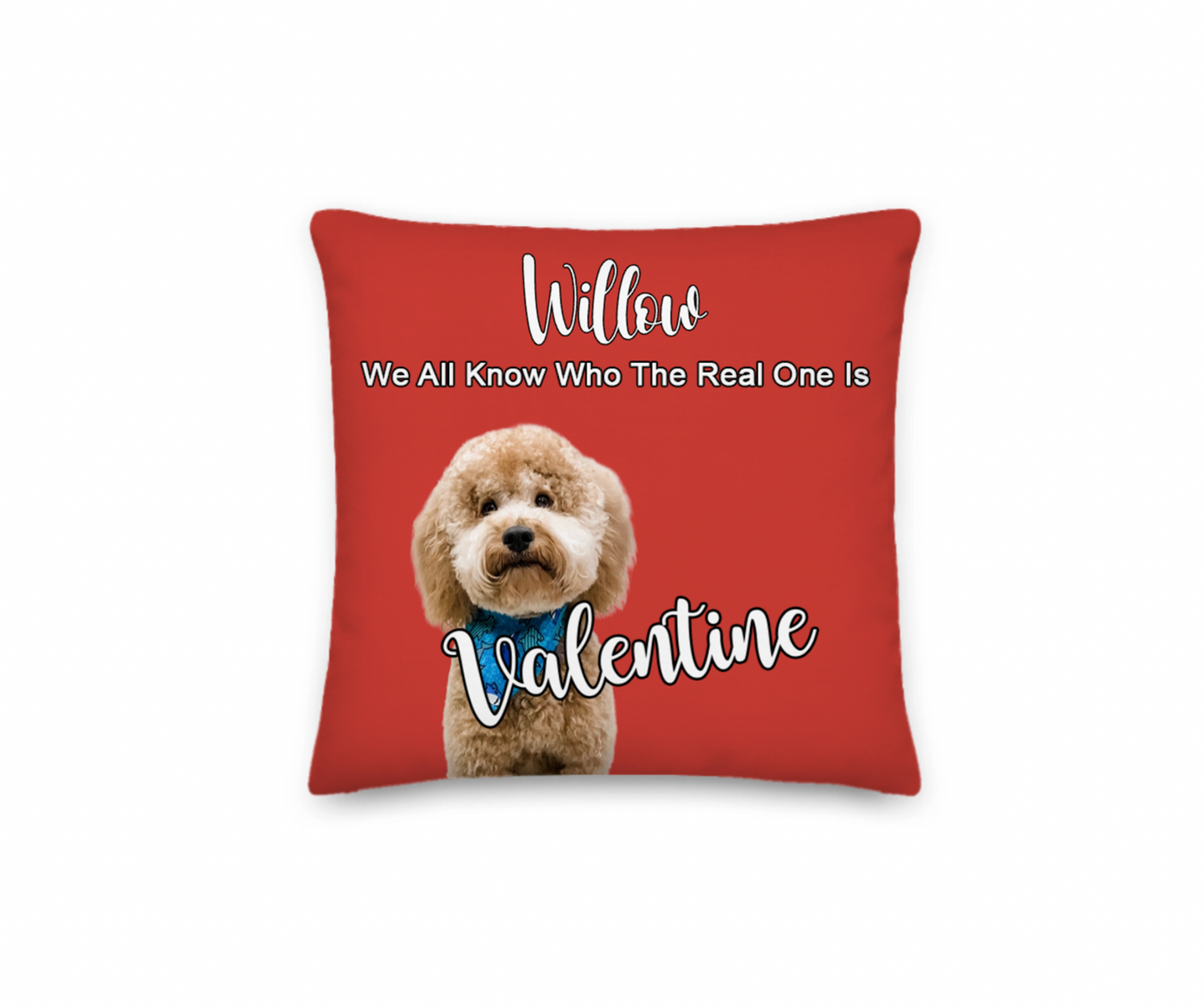 Red pillow with a dog illustration and text on a white background