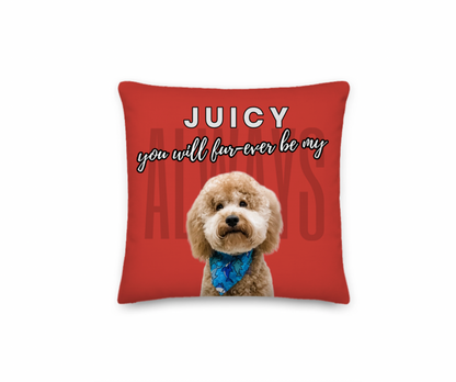 Red pillow with a dog's face and text on a white background