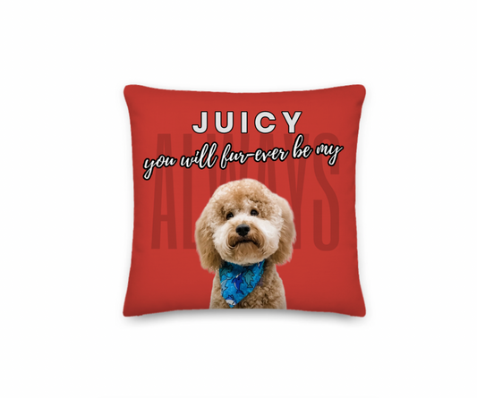 Red pillow with a dog's face and text on a white background