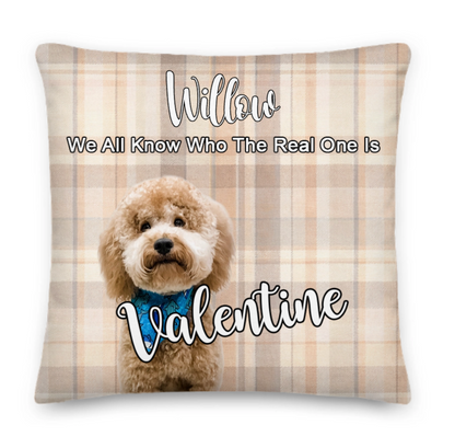 With Love for Willow - Premium Pillow