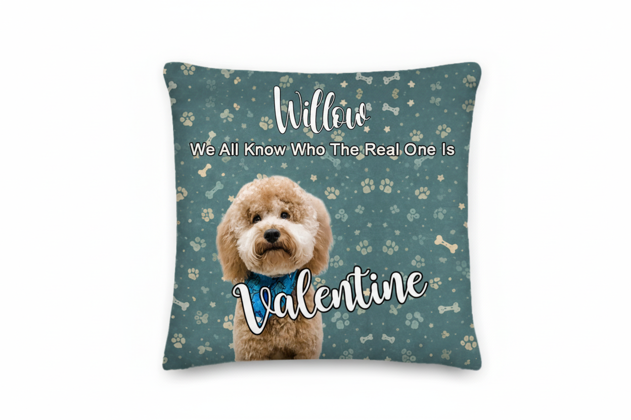 With Love for Willow - Premium Pillow