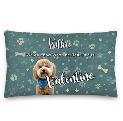 With Love for Willow - Premium Pillow