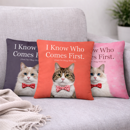 Three pillows with cat illustrations and humorous text on a couch.