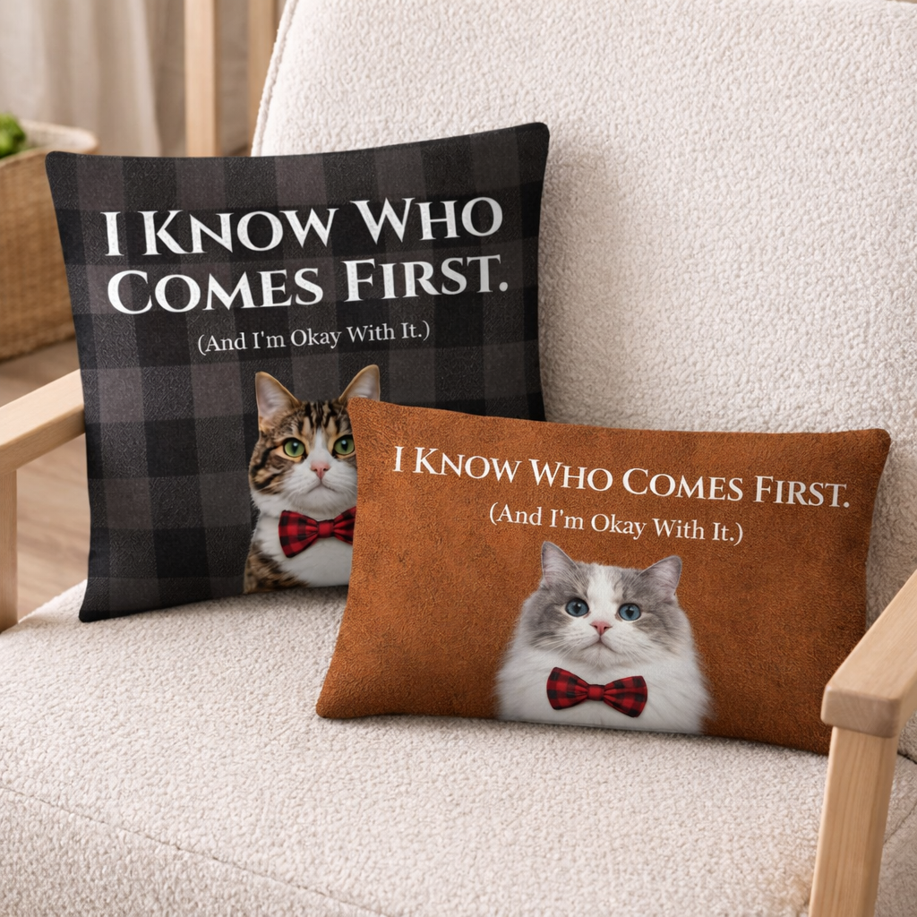 Two pillows with cat illustrations and humorous text on a couch.