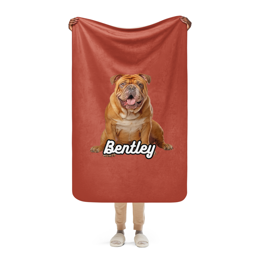 Bentley Paws and Cocoa Blanket