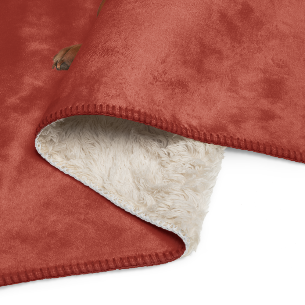 Bentley Paws and Cocoa Blanket