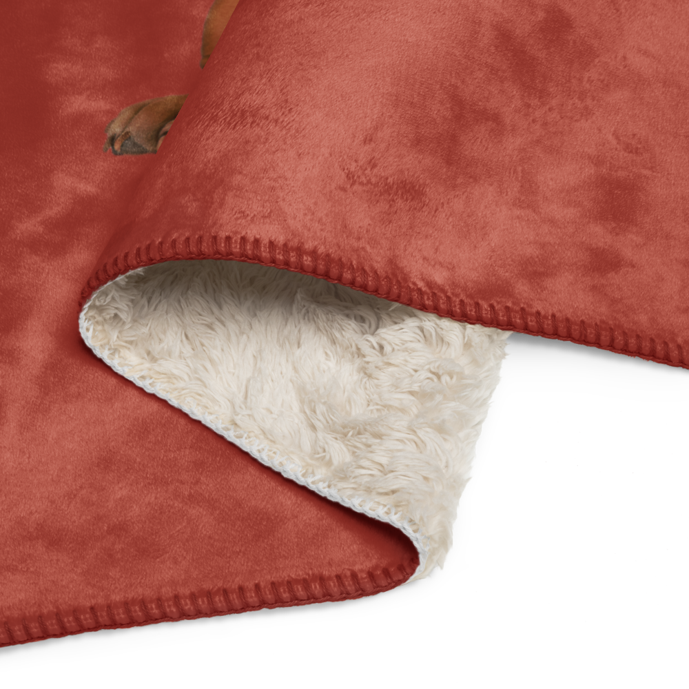 Bentley Paws and Cocoa Blanket