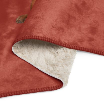 Bentley Paws and Cocoa Blanket