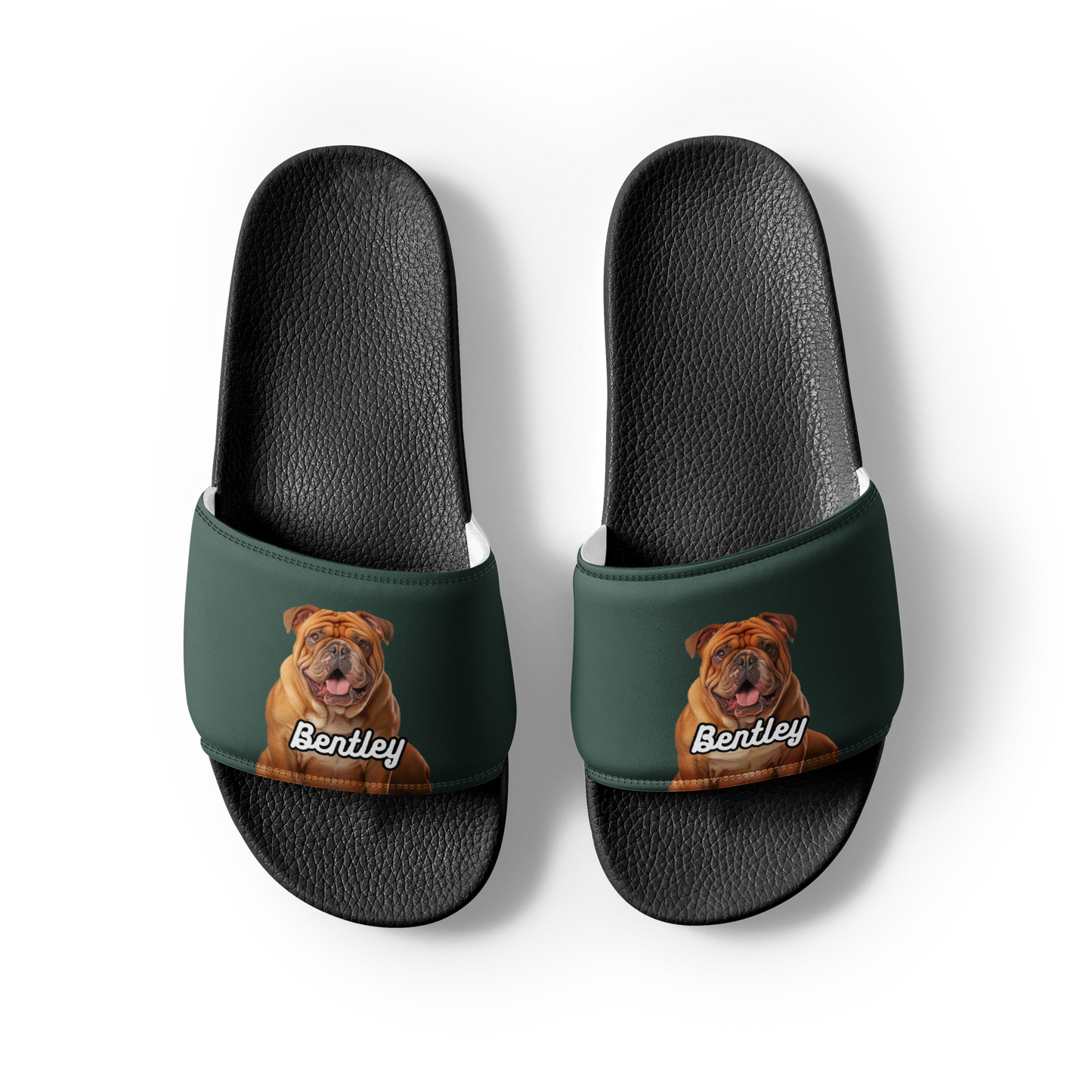 Bentley Paws and Cocoa  Slides