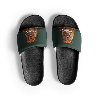 Bentley Paws and Cocoa  Slides