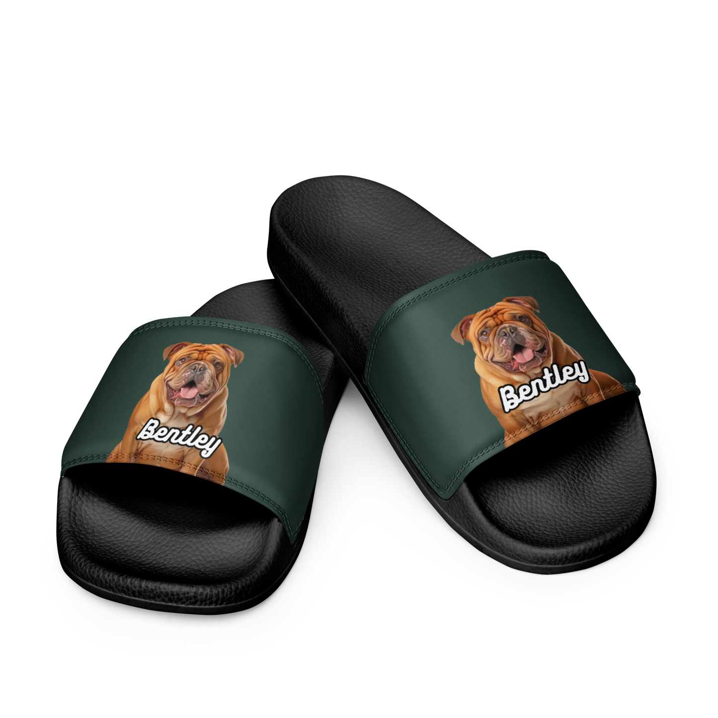 Bentley Paws and Cocoa  Slides
