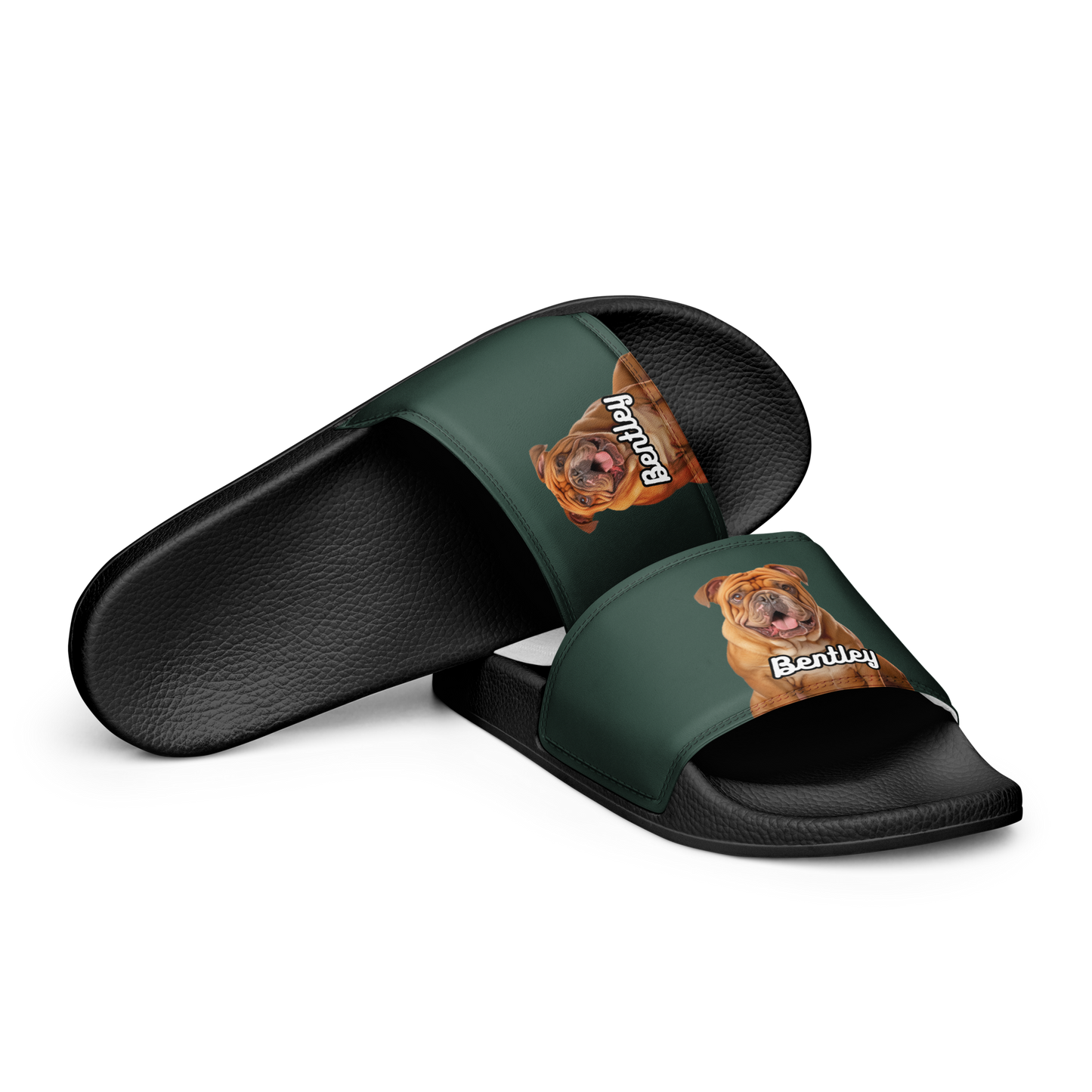 Bentley Paws and Cocoa  Slides