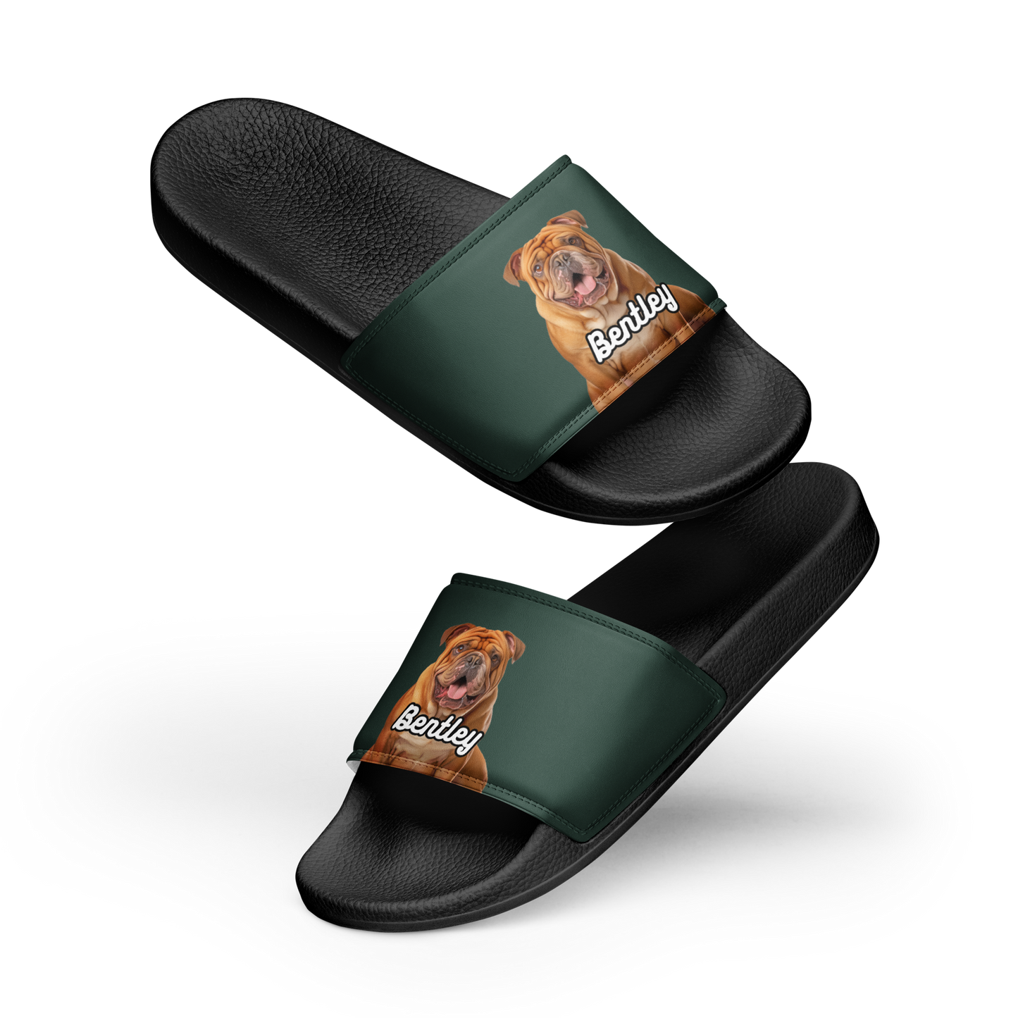 Bentley Paws and Cocoa  Slides