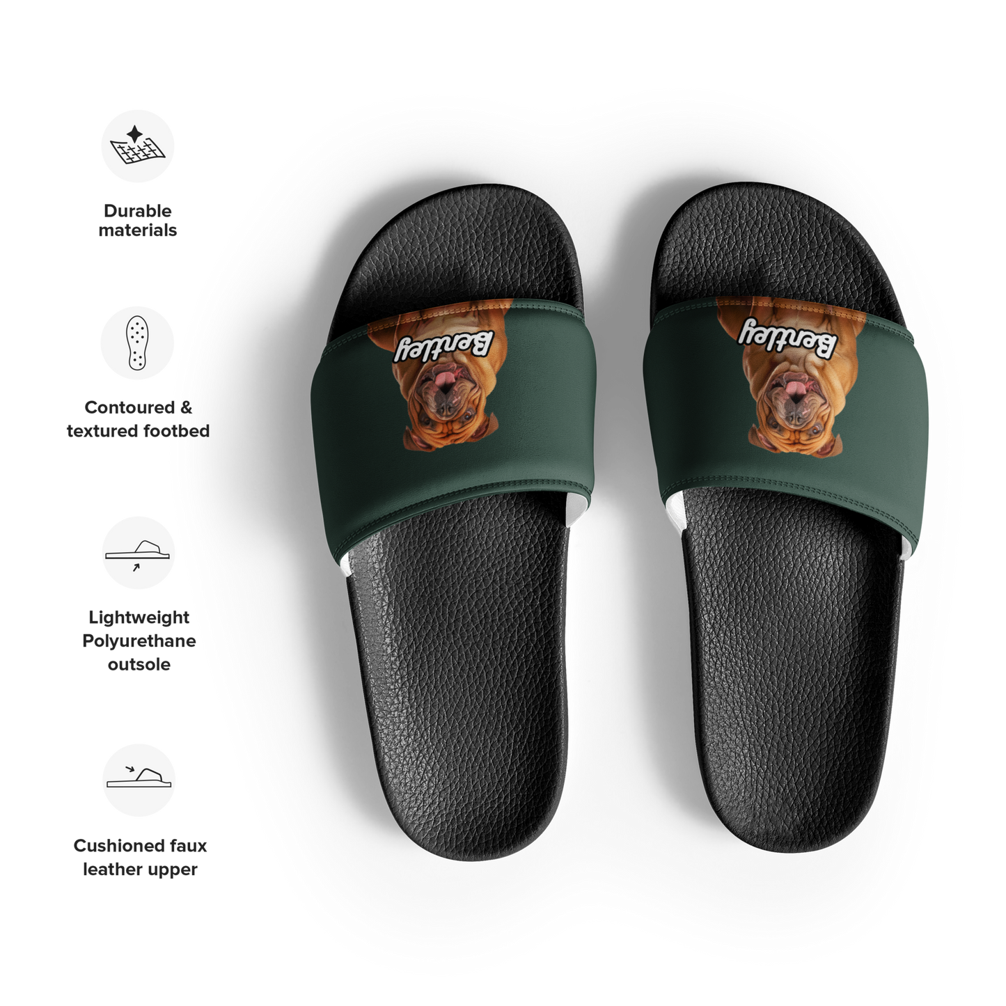 Bentley Paws and Cocoa  Slides