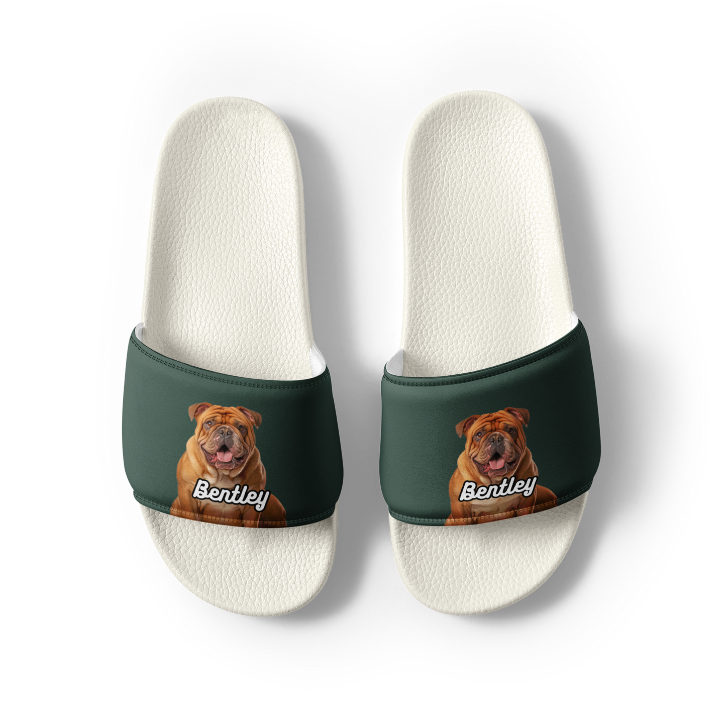 Bentley Paws and Cocoa  Slides