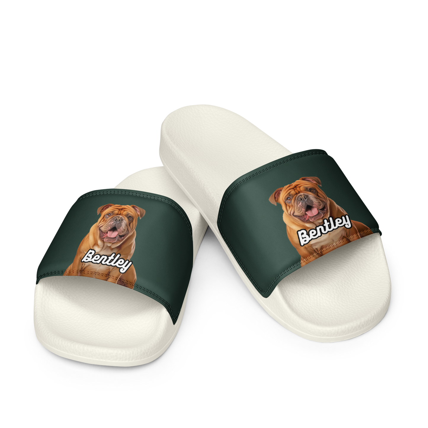 Bentley Paws and Cocoa  Slides