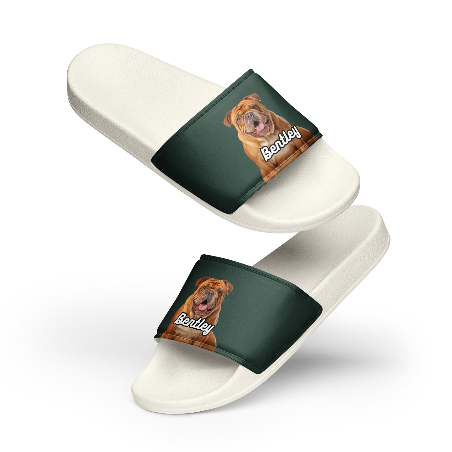 Bentley Paws and Cocoa  Slides