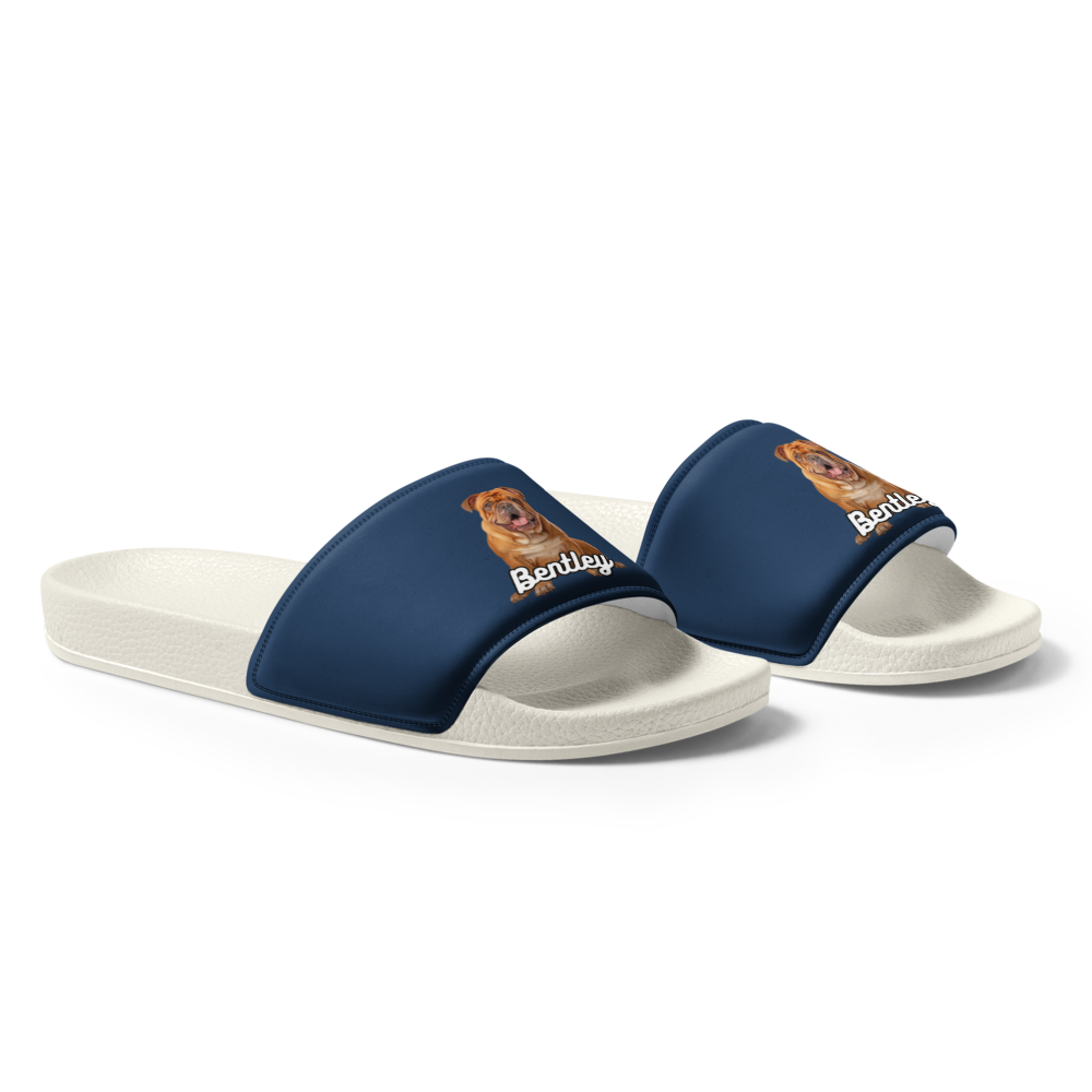 Bentley Paws and Cocoa  Slides